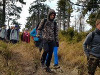 zloty lisc 2018 (39)